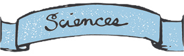 Decorative banner featuring "Sciences" text